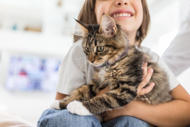 Bambini e gatti