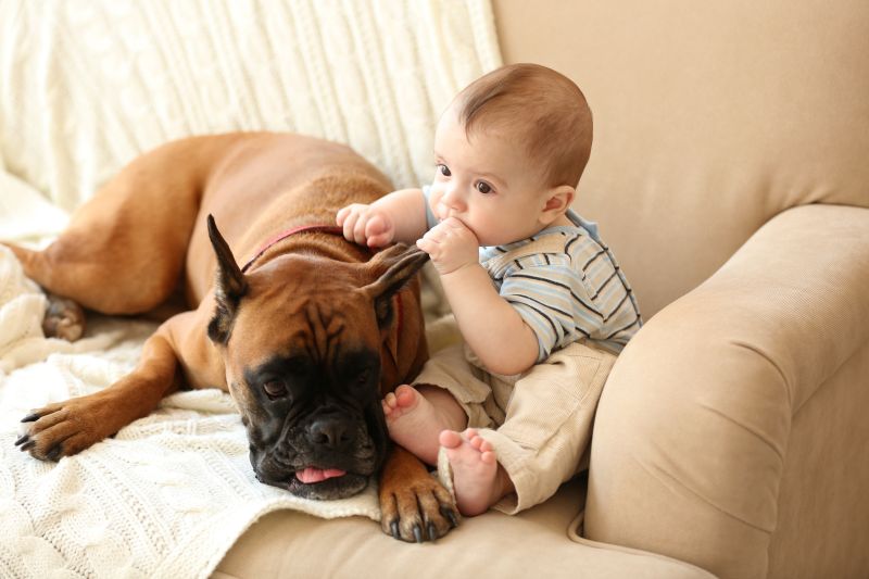 Bambini e cani