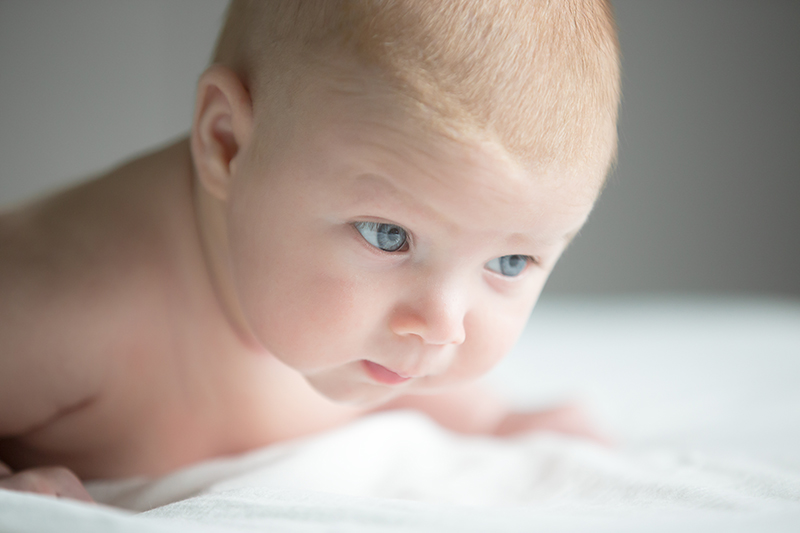 Testa del bambino