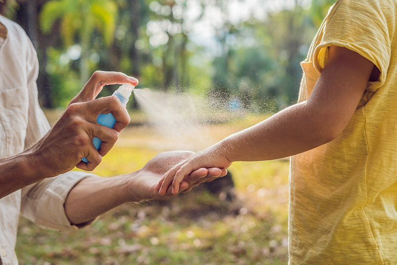 Blog sul repellente contro le zecche